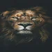 Lion phone wallpapersicon