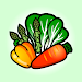 10 Food-groups Checker Easy icon