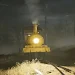 Horror Hidden Train Survivalicon