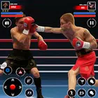 Real Punch Boxing Games 3d APK