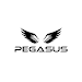 Pegasus Transformers icon