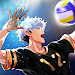 The Spike - Volleyball icon