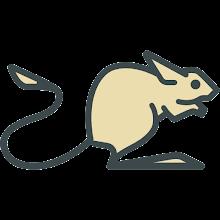 Jerboa for Lemmy icon