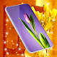 Tulip Spring 4K Wallpapersicon