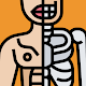 Anatomania - Quiz de Anatomia APK