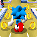 Blue Hedgehog Runner Dash APK