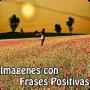 Frases Positivas con Imagenes APK