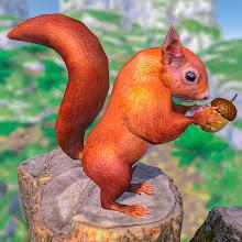 Forest Wild Squirrel Simulator APK