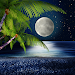 Tropical Night Live Wallpapericon