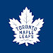 Toronto Maple Leafs icon