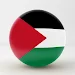 Palestine Wallpaper icon