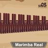 Marimba, Xylophone, Vibraphoneicon