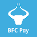 BFC Pay icon