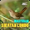 Masteran Sikatan Londo Offline APK
