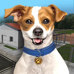 Animal Shelter Simulator APK