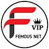 FEMOUS NET VIP VPN APK