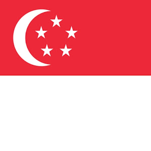 Singapore VPN - Safe VPN Proxy APK