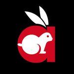 Rabbit Movies Mod APK