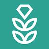 VPN Rice: Fast & Secure Proxy APK