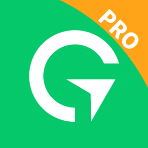 Hago VPN Pro icon