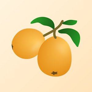 Loquat VPN APK