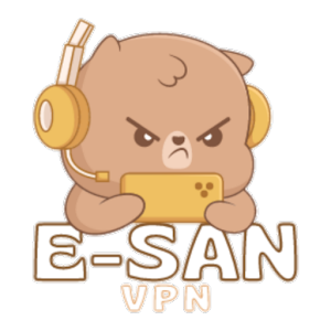 E-SAN VPN APK