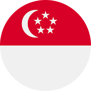 Singapore VPN - Unlimited VPN icon