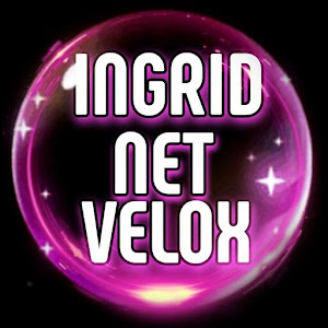 INGRID NET VPNicon