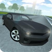 Extreme Car Driving Pro icon