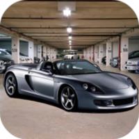 Fast Car Parking APK