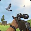 Pigeon Hunting & Shooting Gameicon