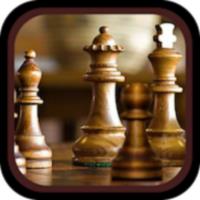 PlayChess icon