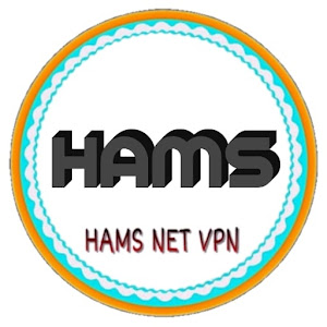 HAMS NET VPN - Fast & Secure icon