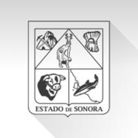 Recaudación Hacienda Sonora icon