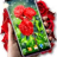 Red Rose Live Wallpaper icon