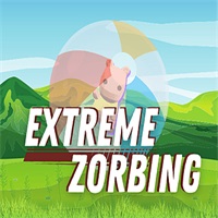 Extreme Zorbing APK