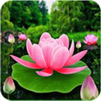 Flower Live Wallpaper 3Dicon