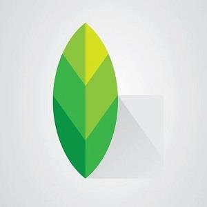 Snapseed APK