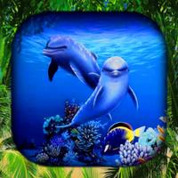 Dolphins Live Wallpaper icon