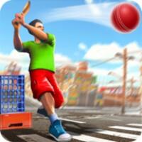 Street Cricket Championship APK