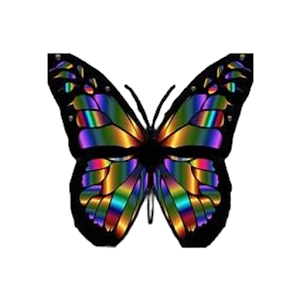 Butterfly Net - Secure VPN icon