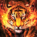 Tiger Wallpaper HD & 4K APK