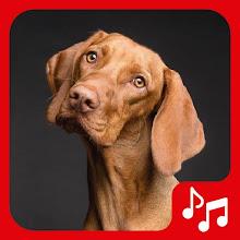 Barking Dog Sounds. APK