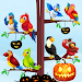 Bird Sort Color - Puzzle Games APK