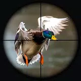 Duck Hunting Wild Adventure APK