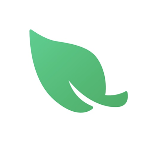 Leaf VPN APK