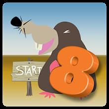 Fun with English 8 APK