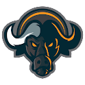 Buffalo Networkicon