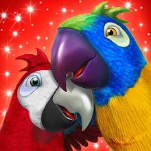 Talking Parrot Couple APK