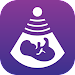 Fun Pregnancy Tracker APK